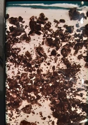 A picture of Oreo lasagna.