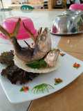 Bandeng Merpati
