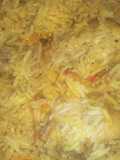 Chicken biryani and raita