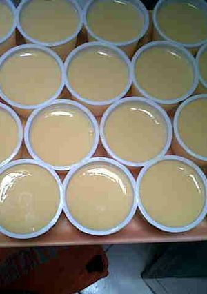 Foto resep puding nutrisari murah meriah