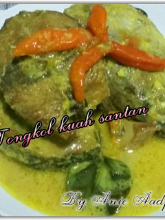 Foto resep Tongkol kuah santan