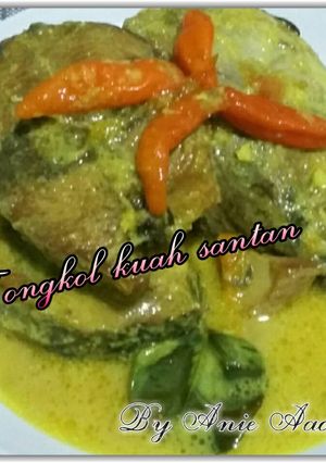 Foto resep Tongkol kuah santan