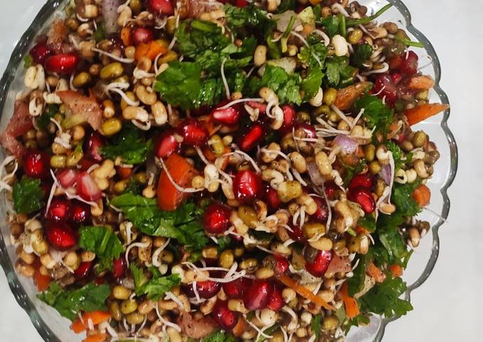 Mixed sprouts and veggies salad with pomegranates