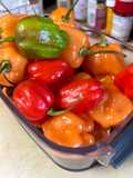 Fermented Hot Peppers