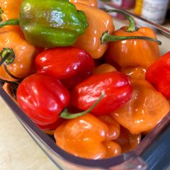 A picture of Fermented Hot Peppers.