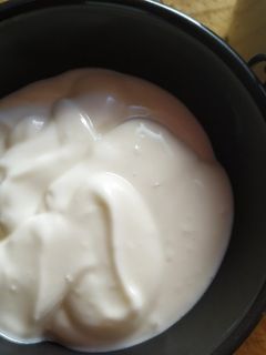 Una foto de Lactonesa en Thermomix (all i Oli)