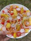 🌿 Summer Salad with Cucumber, Melon, Radish, and Nectarine