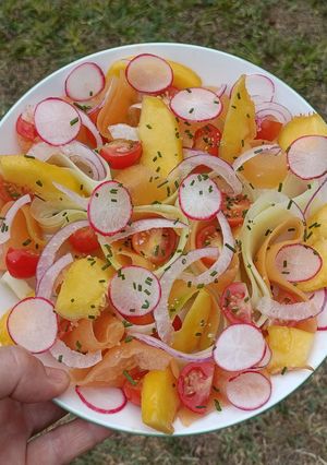 Une photo de 🌿 Salade d'été concombre melon radis nectarine