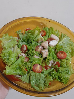 Foto resep Chicken Veggie Salad 🥗