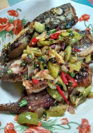 Foto resep Lele tomat hijau