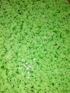 Foto resep Puding lumut yummi