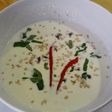 Crema de burrata con sesamo y albahaca, fría o caliente
