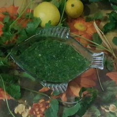 A picture of Green chutney.
