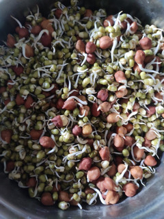 स्प्राउट्स (sprouts recipe in Hindi) रेसिपी मुख्य फोटो