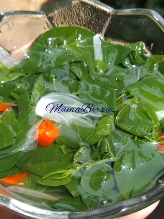 Cara Gampang Menyiapkan Resep  Sayur Bening Daun Katuk yang Bikin Ngiler, Lezat