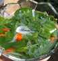 Cara Gampang Menyiapkan Resep  Sayur Bening Daun Katuk yang Bikin Ngiler, Lezat