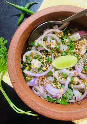 A picture of Microgreens sprouts Salad.