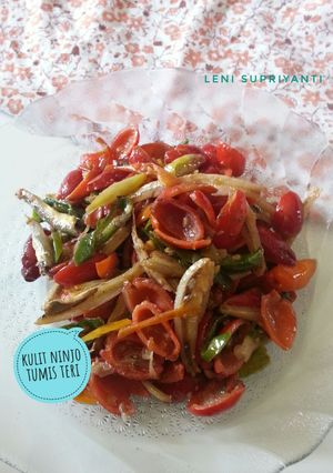 Foto resep Kulit ninjo tumis teri #pr_wantuteri