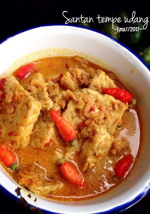 Foto resep Santan Tempe Udang Papay (jangan tempe)