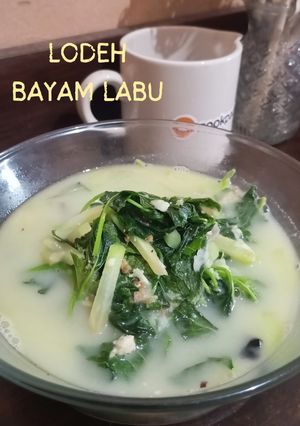 Foto resep Lodeh Bayam labu siam