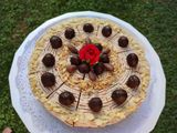 Csokis-cseresznyés cheesecake torta (sütés nélkül) 🍫🍒