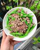 Bún gạo lứt xào đỗ thịt giảm cân ít calo