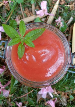 Une photo de 🍎 Compote aux fruits d'été (antigaspi)