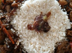 Una foto de Pollo Kung Pao