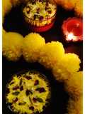 Paan E Bahaar