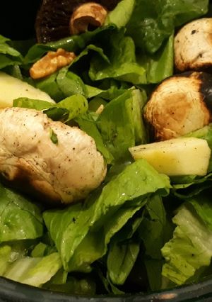 عکسی از دستور غذای رژیمی