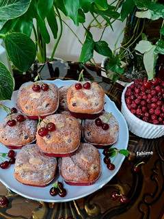 عکسی از دستور کیک آلبالو