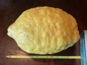 A picture of lemon cordial