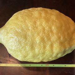 A picture of California Farm Meyer Lemon Harvest.