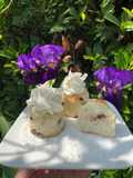 Choufflè al Cocco di Philippe Conticini