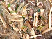 A picture of miến xào lòng gà