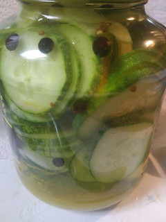 A picture of Pickles with Ginger.