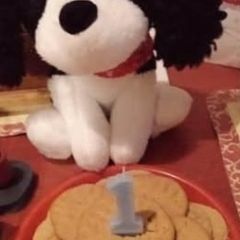 A picture of Opie's Puppy Peanut Butter Cookies.
