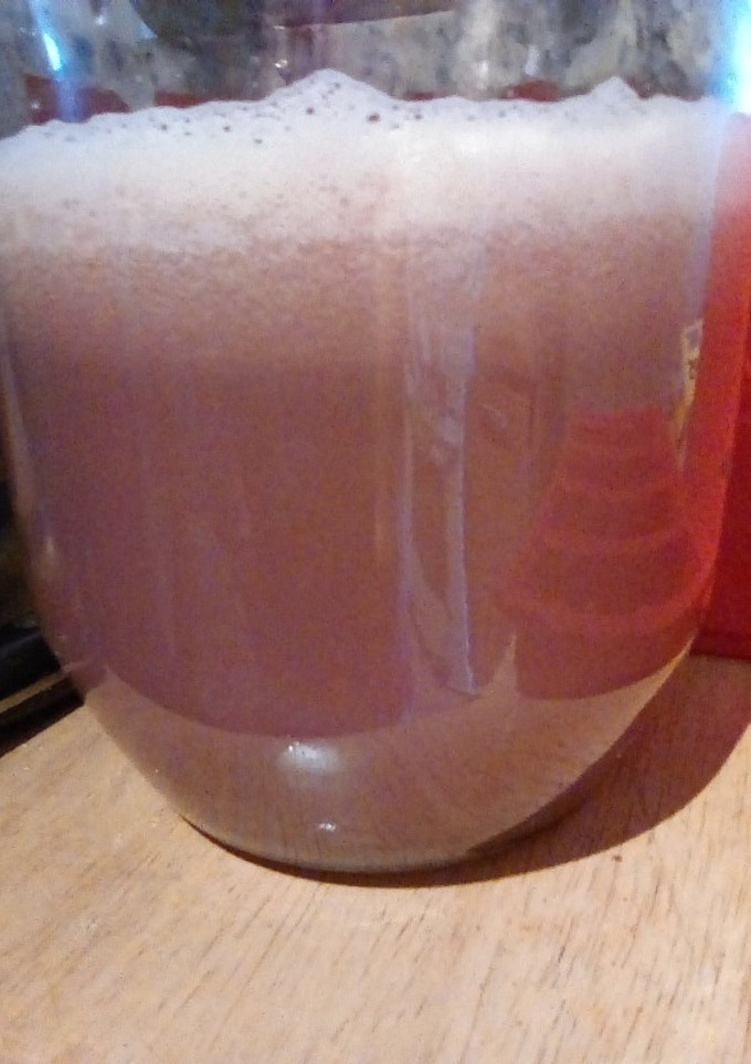 A picture of Homemade Grape Juice.