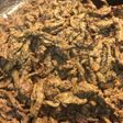 Higado de res para tacos