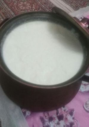 عکسی از دستور ماست گاومیش