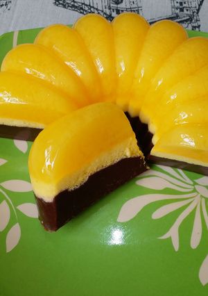 Foto resep Puding busa jeruk lapis coklat