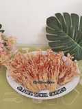 Jamur Enoki Goreng