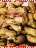 Salted Shelled peanuts