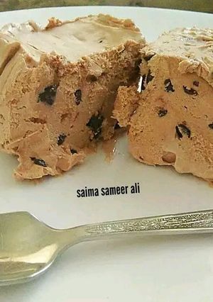 A picture of Chocolate chip ice cream.