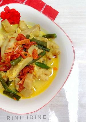 Foto resep Jangan Gori (Nangka Muda)