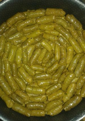 A picture of Stuffed Grape Leaves (Mahshi or Malfouf).