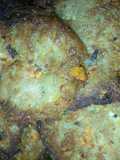 Tortitas nutritivas a la Mario, s