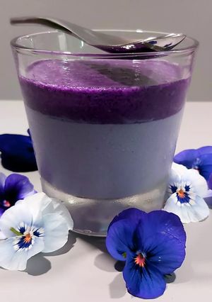 Une photo de Panna cotta aux myrtilles
