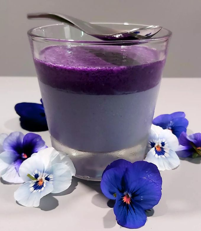 Une photo de Panna cotta aux myrtilles