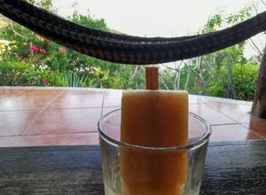 Una foto de Paleta helada de tamarindo con mezcal